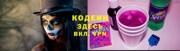 стаф Вяземский