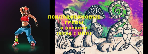 прущая мука Горно-Алтайск